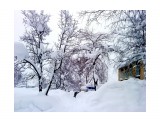 Когда шел снег..
Фотограф: vikirin

Просмотров: 3571
Комментариев: 0