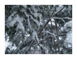 Название: PC314295
Фотоальбом: Зима
Категория: Природа
Фотограф: bear_cub

Время съемки/редактирования: 2008:12:31 13:00:56
Фотокамера: OLYMPUS IMAGING CORP.   - E-500           
Диафрагма: f/3.5
Выдержка: 1/1000
Фокусное расстояние: 40/1
Светочуствительность: 400


Просмотров: 1082
Комментариев: 0