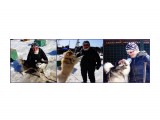 Знакомство с собаками.

Просмотров: 298
Комментариев: 0