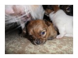 SAM_3814

Просмотров: 513
Комментариев: 