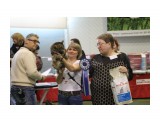 Название: IMG_6353
Фотоальбом: Выставка КЛК " АВАНТАЖ" 1-2 марта 2014г
Категория: Животные

Просмотров: 179
Комментариев: 0