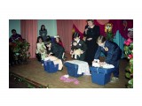 Название: ДК9
Фотоальбом: Детский конкурс 1997г.
Категория: Дети

Просмотров: 2725
Комментариев: 0