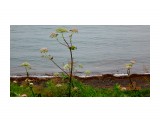 DSC04167

Просмотров: 358
Комментариев: 0