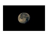 Moon

Просмотров: 756
Комментариев: 1