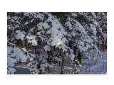 _DSC0090