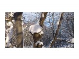 Зимние грибочки... 
Фотограф: vikirin

Просмотров: 2012
Комментариев: 0