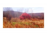DSC08794

Просмотров: 200
Комментариев: 0
