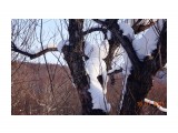 "Котик"

Просмотров: 576
Комментариев: 1