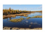Оха (8)

Просмотров: 535
Комментариев: 