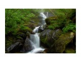 Водопад "Веста"
Фотограф: men

Просмотров: 1194
Комментариев: 3
