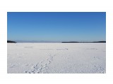 20181214_144537
Фотограф: vikirin

Просмотров: 962
Комментариев: 0