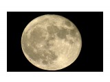 Суперлуние

Просмотров: 761
Комментариев: 1