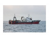 СТЕЛЛА  КАРИНА.  (Бывший  STELLA KARINA,  SVALBAKUR,  SVALBARDI.        IMO 6910570,  MMSI 273424560,  CS UEIF).  Татарский пролив.
Фотограф: 7388PetVladVik

Просмотров: 2979
Комментариев: 0