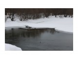 Апрельская верба
Фотограф: vikirin

Просмотров: 2214
Комментариев: 0