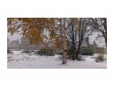 Первый снег
Фотограф: vikirin

Просмотров: 1820
Комментариев: 0