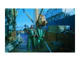 Ложкари на старте  
Фотограф: 7388PetVladVik

Просмотров: 7049
Комментариев: 0
