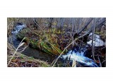 DSC08831
Едва заметный ручеёк посло циклона.

Просмотров: 345
Комментариев: 0