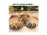 h-266216

Просмотров: 2895
Комментариев: 0