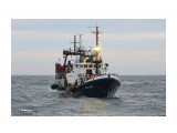 Название: ОПЛОТ МИРА.  (Бывший КАПИТАН  АСАУЛЕНКО.   IMO 8922981,  MMSI  273894000,  CS UADY).  Татарский пролив.
Фотоальбом: СУДА  ОКЕАНОВ.
Категория: Море
Фотограф: 7388PetVladVik

Время съемки/редактирования: 2021:12:25 17:19:53
Фотокамера: Canon - Canon EOS 750D
Диафрагма: f/5.6
Выдержка: 1/100
Фокусное расстояние: 70/1



Просмотров: 1275
Комментариев: 0