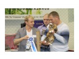 Название: IMG_6344
Фотоальбом: Выставка КЛК " АВАНТАЖ" 1-2 марта 2014г
Категория: Животные

Просмотров: 161
Комментариев: 0