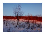 на закате...

Просмотров: 435
Комментариев: 0