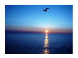 Охотское море  
Фотограф: 7388PetVladVik

Просмотров: 6055
Комментариев: 0