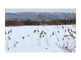 поля..
Фотограф: vikirin

Просмотров: 1219
Комментариев: 0