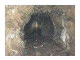 В одной из пещер мыса Скальный...

Просмотров: 408
Комментариев: 0