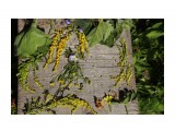 осень

Просмотров: 537
Комментариев: 0