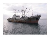 LUIN. 
Фотограф: 7388PetVladVik

Просмотров: 6078
Комментариев: 0