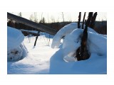 Лебедь? или удав? 
Фотограф: vikirin

Просмотров: 3003
Комментариев: 0