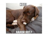 6X7HsQr8H4s

Просмотров: 406
Комментариев: 0