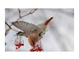 :)
Фотограф: Tsygankov Yuriy

Просмотров: 608
Комментариев: 0