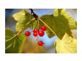 Наверное созрела... :)

Просмотров: 558
Комментариев: 0