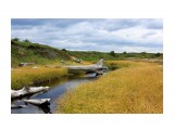 Северные торфяные ручейки в прибрежной зоне..
Фотограф: vikirin

Просмотров: 3715
Комментариев: 1