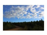Утро..
Фотограф: vikirin

Просмотров: 2315
Комментариев: 0