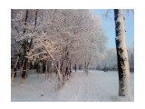 Первый снег 29 октября.. Пушистое утро
Фотограф: vikirin

Просмотров: 3309
Комментариев: 0