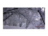 DSC05396

Просмотров: 194
Комментариев: 0