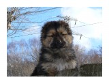 doggy

Просмотров: 3585
Комментариев: 5