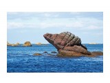 Улитка, морская )))