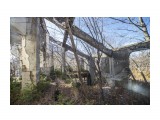 Название: Развалины японской электростанции 2
Фотоальбом: Окрестности с.Новиково
Категория: Архитектура
Фотограф: Игорь Голубцов

Время съемки/редактирования: 2018:11:07 00:18:40
Фотокамера: Canon - Canon EOS 5D Mark II
Выдержка: 1/100
Фокусное расстояние: 50/1



Просмотров: 574
Комментариев: 0