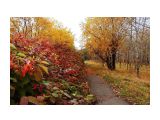 Осень

Просмотров: 6962
Комментариев: 2