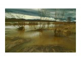 Паводок
Фотограф: Mikhaylovich

Просмотров: 3250
Комментариев: 0