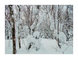 DSCN0036
Фотограф: Меркулова Ольга

Просмотров: 1496
Комментариев: 0