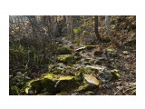 фотохроник_66
Фотограф: фотохроник

Просмотров: 846
Комментариев: 0