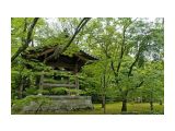 Название: сады киото
Фотоальбом: JAPAN | KIOTO
Категория: Туризм, путешествия
Фотограф: © marka

Просмотров: 1135
Комментариев: 0