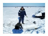 Зимняя рыбалка на Лунском..
Фотограф: vikirin

Просмотров: 2522
Комментариев: 0