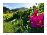 Кнопочка... :) как всегда хороша :)

Просмотров: 816
Комментариев: 0