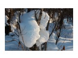 В снежной стране...
Фотограф: vikirin

Просмотров: 2896
Комментариев: 0