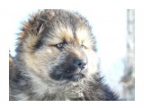 вы о чем ?

Просмотров: 3310
Комментариев: 4